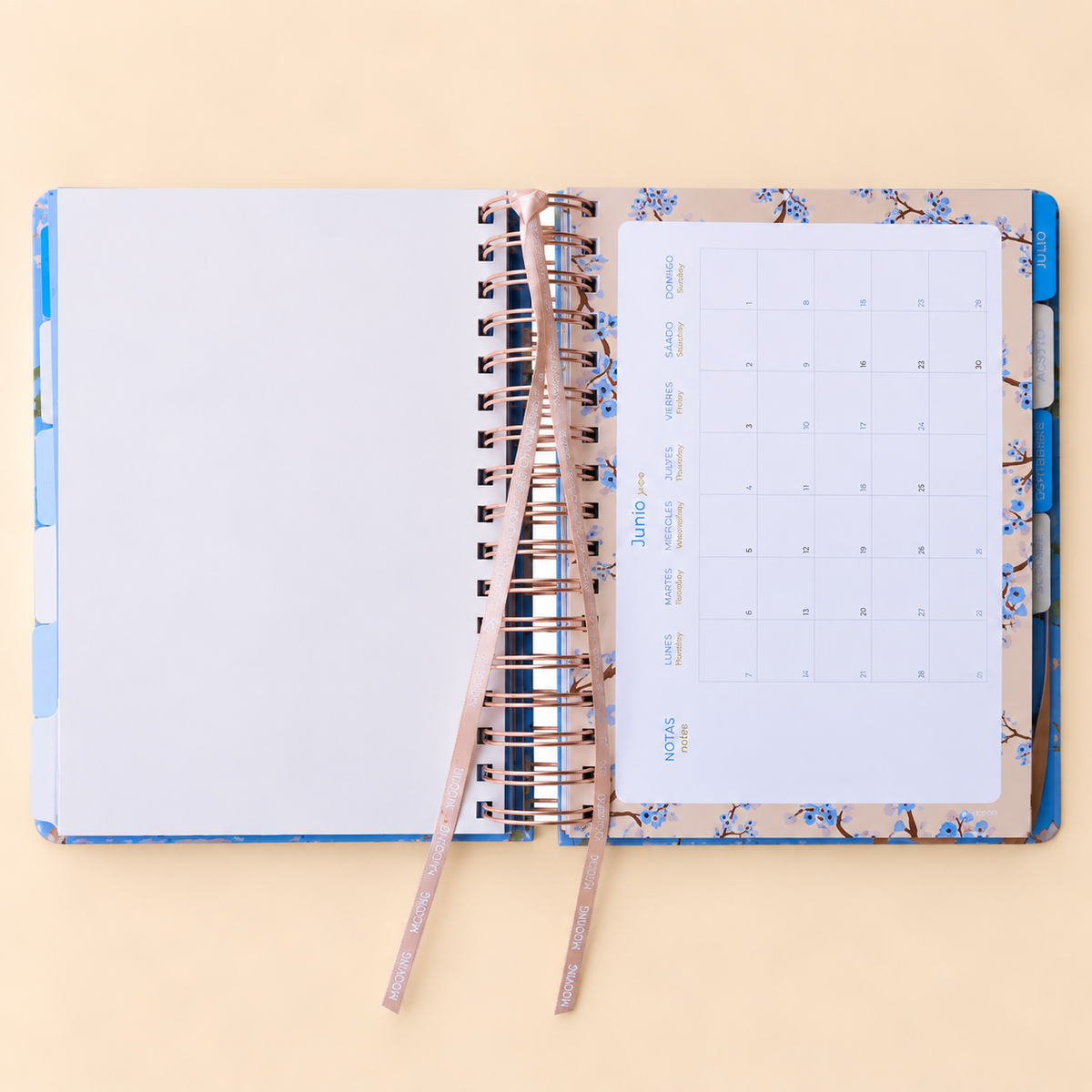 Agenda Mooving Cerezo 2027 diaria