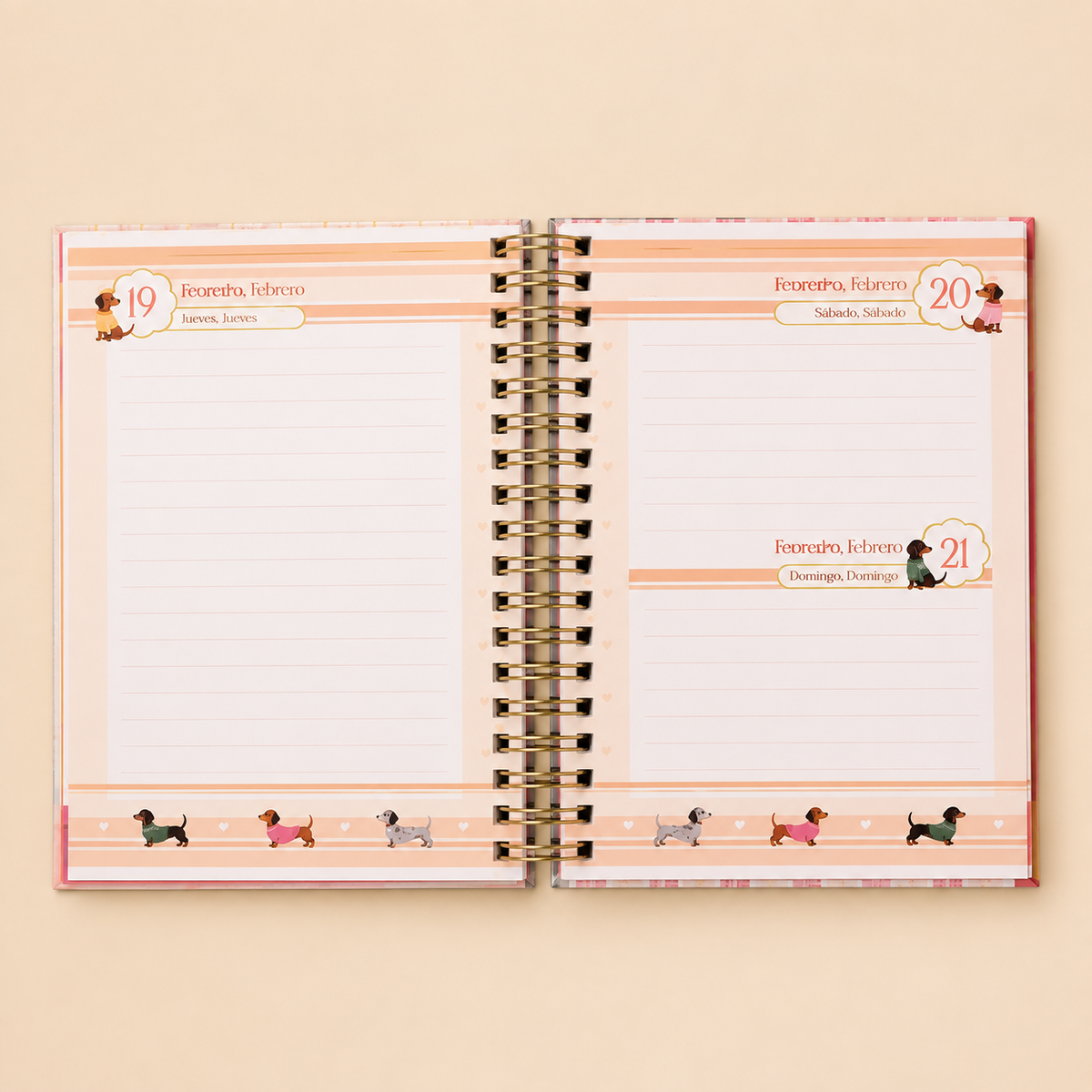 Agenda Tilibra Brownie 2027 diaria con espiral
