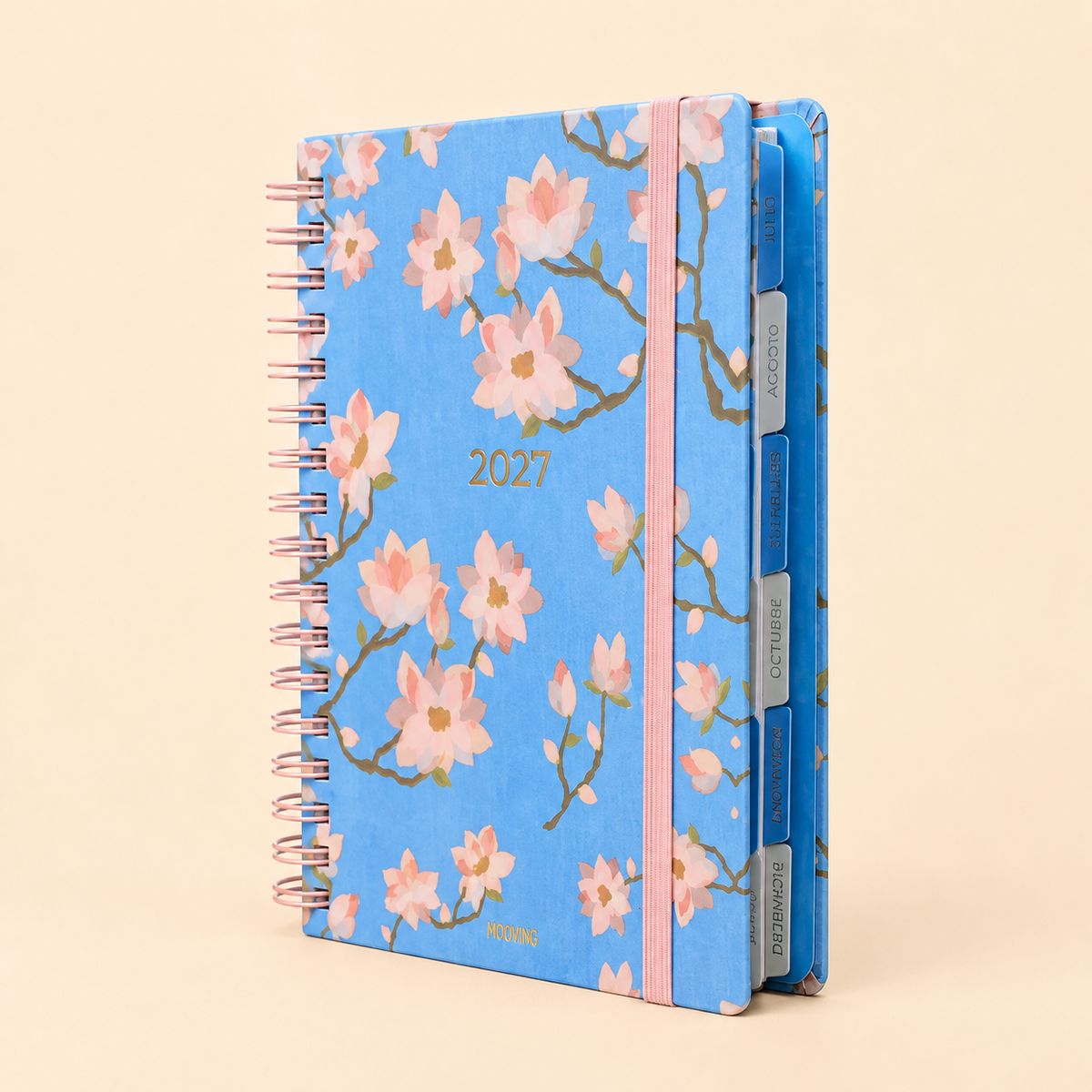 Agenda Mooving Cerezo 2027 diaria