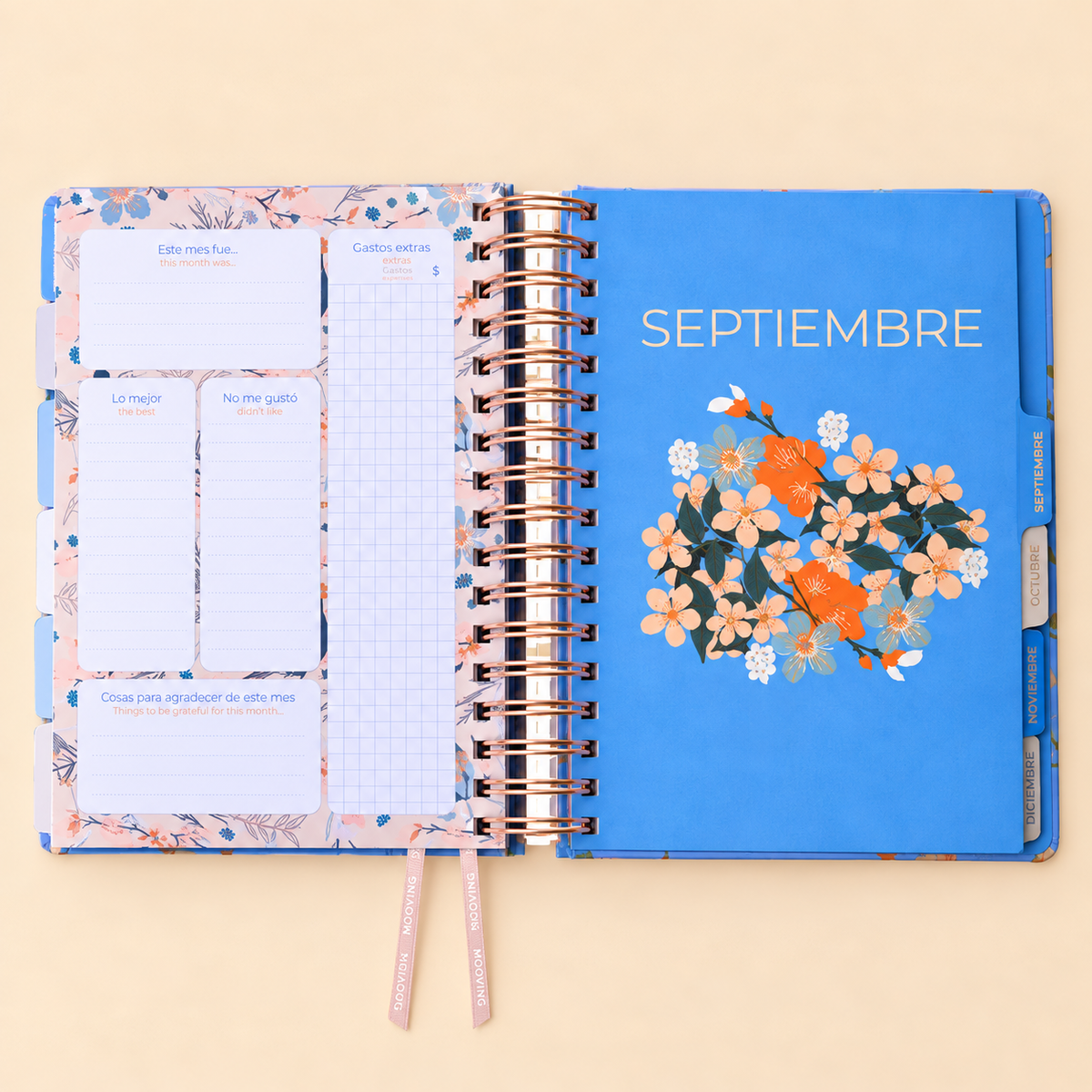 Agenda Mooving Cerezo 2027 diaria